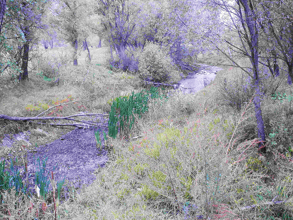 Річка Альта